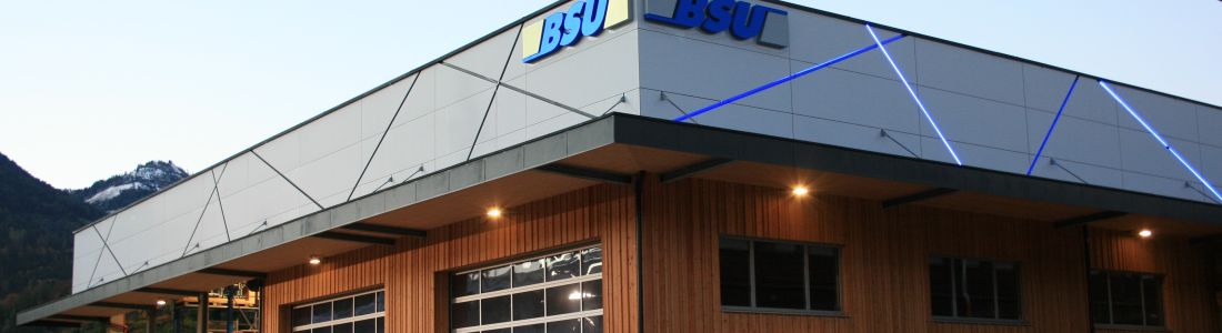 BSU Bauservice Unterberger GmbH